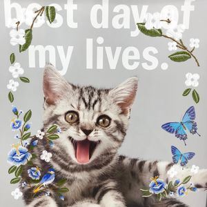 Meet your Posher, Mattie